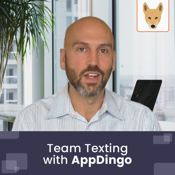 AppDingo | Team Texting with AppDingo